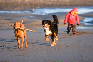 Bishops Beach play with CHild