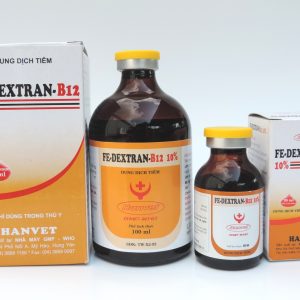 Fe-Dextran-B12