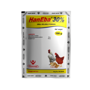 Haneba 30%