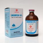 Lincomycin10
