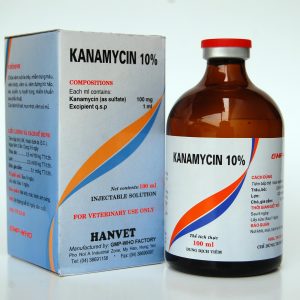 kanamycin 10