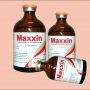 maxxin (1)