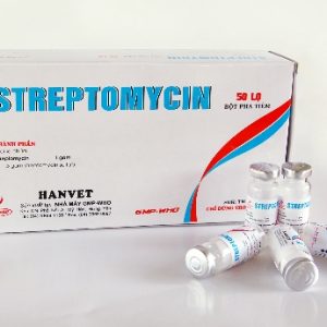 sptreptomycin