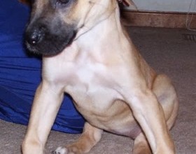 benh-cong-xuong-bien-dang-o-chi-cho-con4