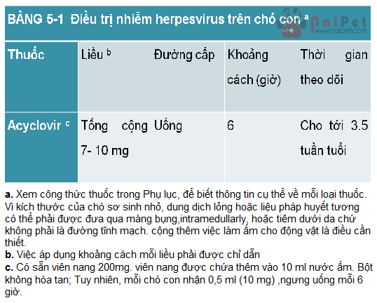 benh-do-herpesvirus-o-cho-4