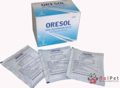 cach-su-dung-oresol-dieu-tri-mat-nuoc-o-cho-meo-1