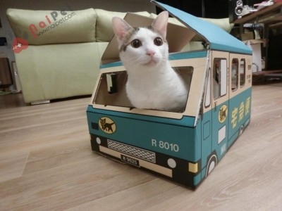 kinh-nghiem-bo-sung-canxi-cho-cho-meo-hieu-qua-940x705-400x300