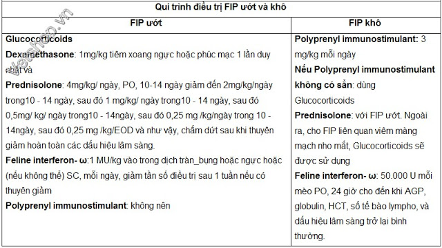 nhiem-trung-phuc-mac-fip-benh-do-coronavirus-tren-meo-5