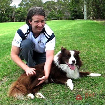 tim-hieu-cach-chua-benh-hieu-qua-cho-cho-bang-onnetsu