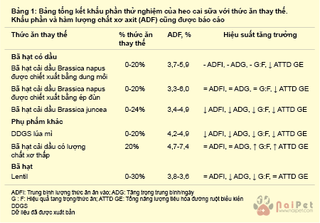 anh-huong-cua-khau-phan-giau-chat-xo 1