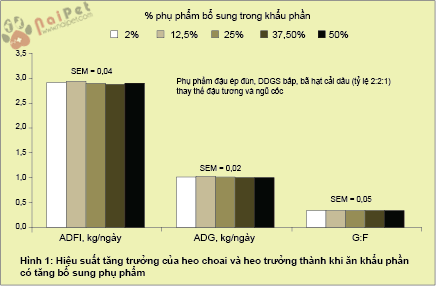 anh-huong-cua-khau-phan-giau-chat-xo