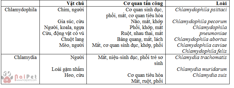 benh-do-chlamydia-tren-meo-2