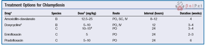 benh-do-chlamydia-tren-meo-5