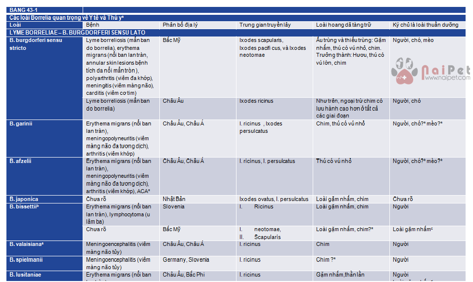 benh-lyme-o-cho-borrelia- burgdoferi-1