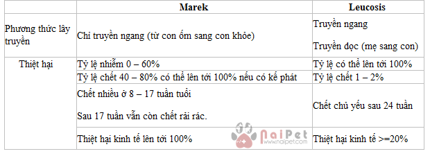 benh-marek-leucosis-phuong-phap-chan-doan-phan-biet-va-kiem-soat-1