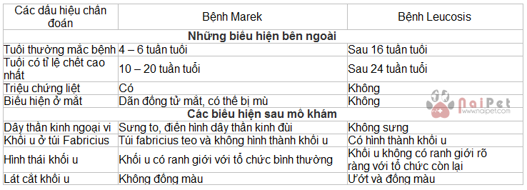 benh-marek-leucosis-phuong-phap-chan-doan-phan-biet-va-kiem-soat-2