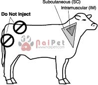 benh-ung-khi-than-tren-trau-bo-benh-cang-den-blackleg-disease-benh-ung-khi-than-o-trau-bo-benh-cang-den-blackleg-disease 2