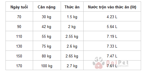 ca-benh-edema-tren-heo-thit-tai-phap