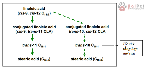 cac-bien-phap-ngan-ngua-benh-acid-da-co-o-bo-sua 3