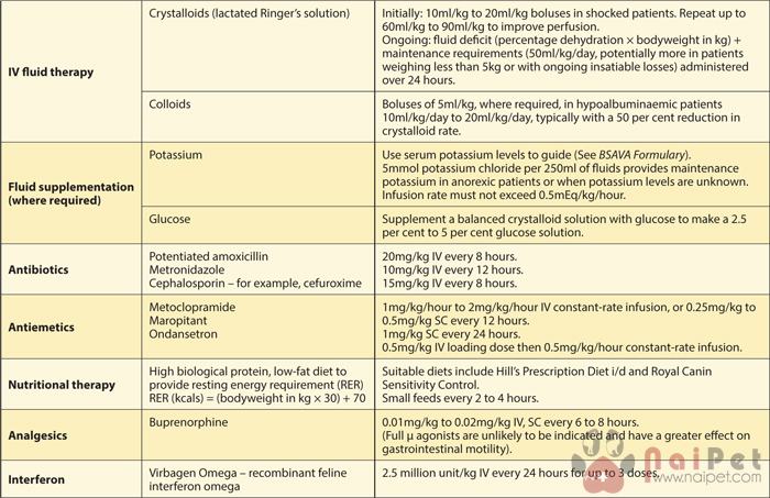 cac-virus-gay-viem-ruot-tren-cho-5