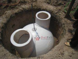 chat-thai-trong-chan-nuoi-va-mot-so-bien-phap-xu-ly 1