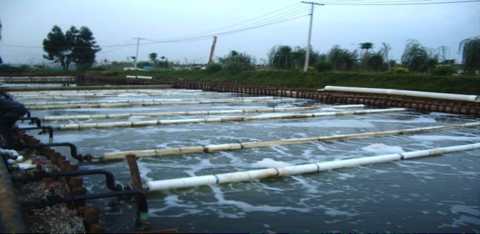 chat-thai-trong-chan-nuoi-va-mot-so-bien-phap-xu-ly 5