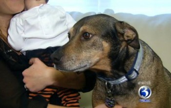 Chú Chó Cứu Mạng Bé Sơ Sinh 9 Tuần Tuổi chu-cho-cuu-mang-be-so-sinh-9-tuan-tuoi