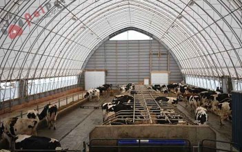 chuong-trai-chan-nuoi-bo-sua