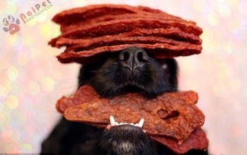 co-cho-noi-tieng-kha-nang-thang-bang-do-vat-tren-mui-tuyet-dinh (5)