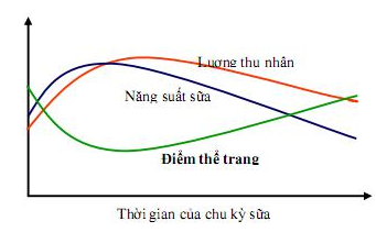 danh-gia-va-quan-ly-the-trang-bo-sua 2