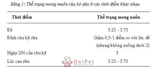 danh-gia-va-quan-ly-the-trang-bo-sua 4