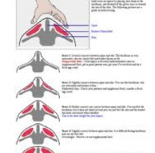 danh-gia-va-quan-ly-the-trang-bo-sua 5