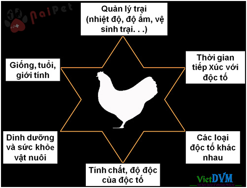 doc-to-nam-moc-anh-huong-o-gia-cam