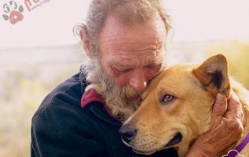 Giáng Sinh Kỳ Diệu Của River giang-sinh-ky-dieu-3