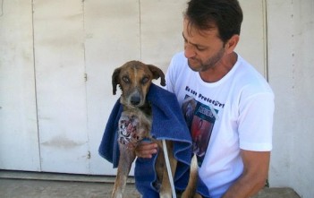 Hành Trình Hồi Phục Kỳ Diệu Của Francisco hanh-trinh-hoi-phuc-ky-dieu-cua-francisco-1