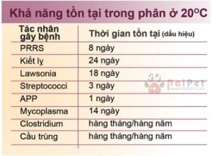 ky-thuat-cham-soc-heo-nai-de-va-heo-con-toan-tap 2