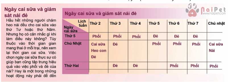 ky-thuat-cham-soc-heo-nai-de-va-heo-con-toan-tap 7