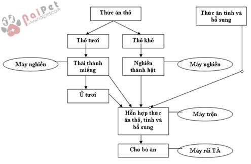 ky-thuat-nuoi-bo-theo-tmr-total-mixed-ration 1