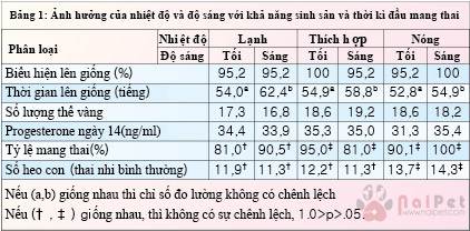 nhiet-do-va-do-sang-anh-huong-toi-suc-khoe-va-nang-suat-heo-nai 1