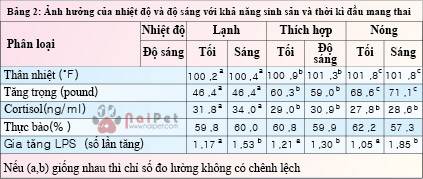 nhiet-do-va-do-sang-anh-huong-toi-suc-khoe-va-nang-suat-heo-nai 2