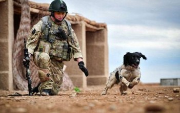 nhung-cau-chuyen-cam-dong-ve-su-trung-thanh-cua-loai-cho-4