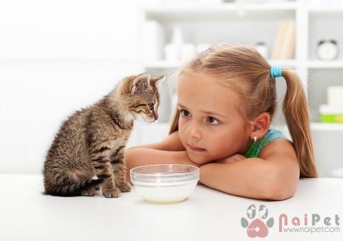 nuoi-thu-cung-giup-tre-hoc-ky-nang-song-3