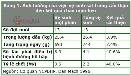 quy-trinh-chan-nuoi-cung-vao-cung-ra-all-in-all-out