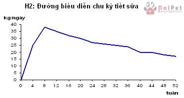 sinh-ly-tiet-sua-physiology-of-lactation