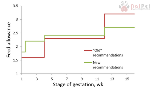 tam-quan-trong-cua-dinh-duong-trong-thai-ky-dau-tien-o-heo-nai 1