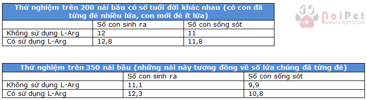 tam-quan-trong-cua-dinh-duong-trong-thai-ky-dau-tien-o-heo-nai