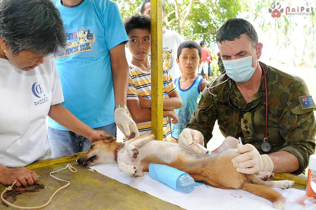 Exercise BALIKATAN 2014