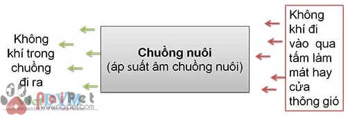 van-toc-gio-trong-chan-nuoi-ga-thit-cong-nghiep2
