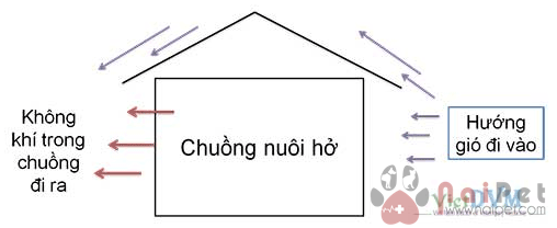 van-toc-gio-trong-chan-nuoi-ga-thit-cong-nghiep3