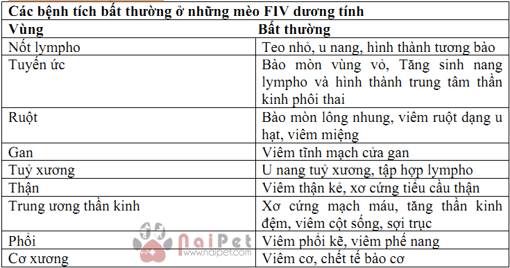 virus-gay-suy-giam-mien-dich-tren-meo-2